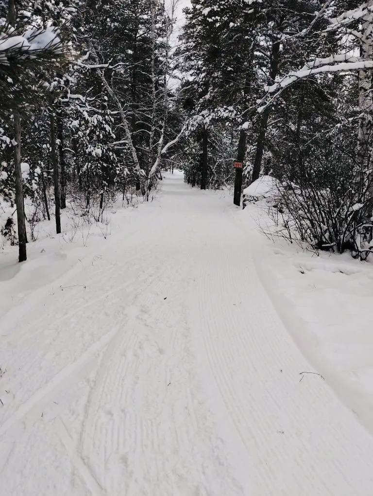 Сотрудники МБУ «Спортивный город» г. Челябинска регулярно обновляют лыжные трассы Сотрудники МБУ «Спортивный город» г. Челябинска регулярно обновляют лыжные трассы