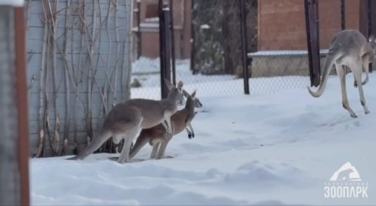 �� �����, �� ����� ������. � �������� �������� �������� ����� �������