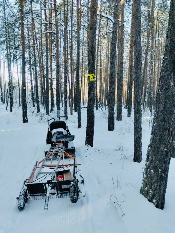 ���������� ��� ����������� ����� �. ���������� ��������� ��������� ������ ������