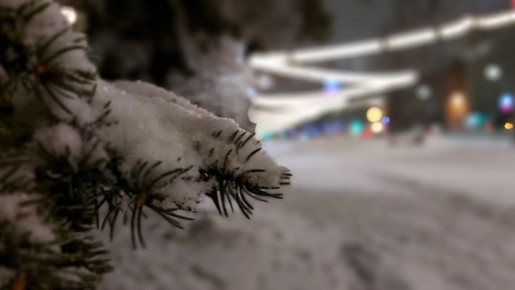 Изумительную погоду на Рождество пообещали жителям Челябинска