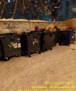 Мусор с контейнерной площадки на Овчинникова убирали раз в сутки