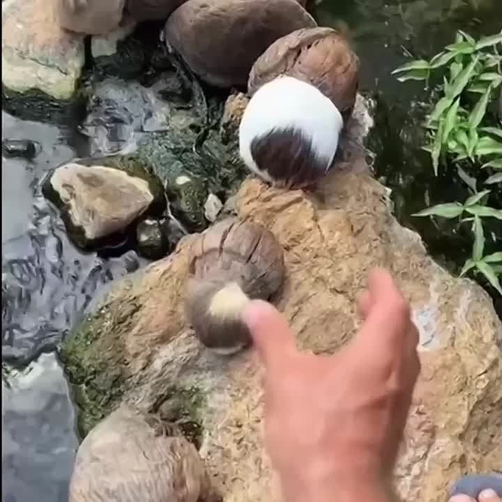 #������������31. ����� ������� ��� ��������� ������ ������� ���� ����� �������! �������� �� ����� �������� � ����� �� ����� ����������