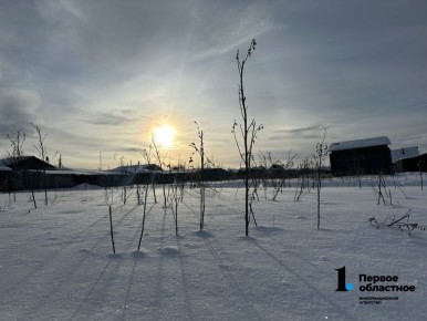 � ���� ��� ��� ������ �� ��� ��� - �� ����� ����� ����������� � �������