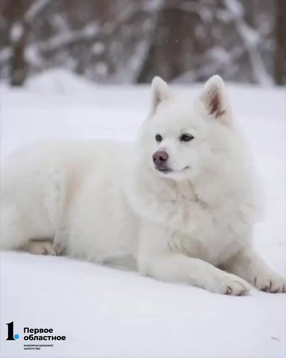 ��� ������, ����� ����������� � ��������!