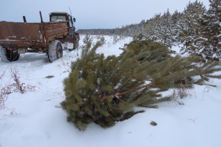 ����������� ������ ����� ����������, ���� ������� ���������� ���� ����� ����������