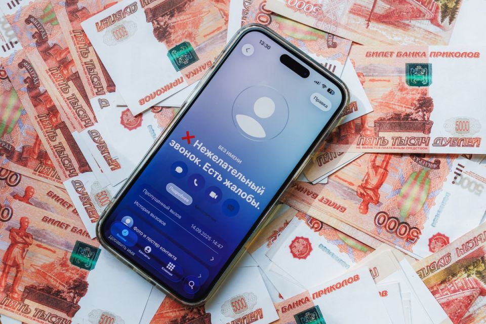 Национальный мессенджер помог спасти крупные суммы сбережений южноуральцев