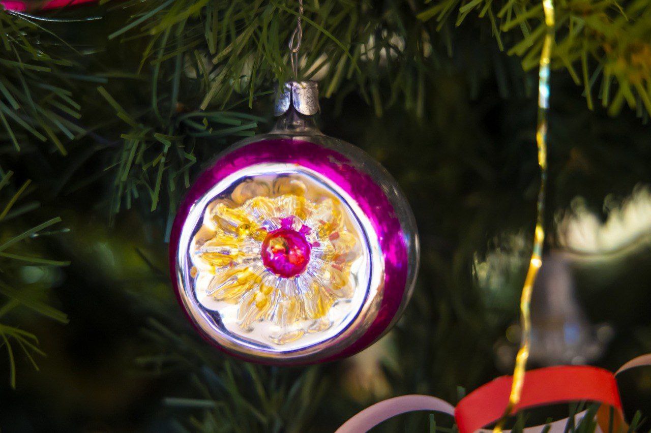 Три правила утилизации новогодней елки рассказали жителям Челябинска