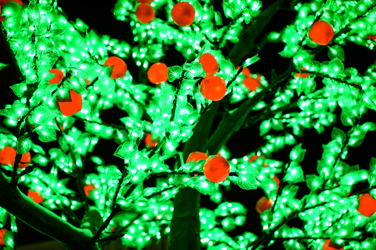 Доброе утро!. Сегодня 6 января, вторник