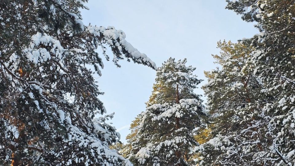 Желтый уровень опасности: прогноз погоды на 6 января в Челябинской области