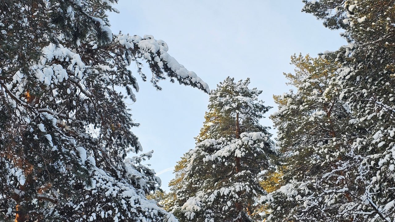 Желтый уровень опасности: прогноз погоды на 6 января в Челябинской области