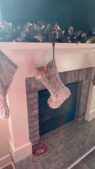 ���� ����� ����������. ������ ��� ���, ��� ��������� ������������� � ����������