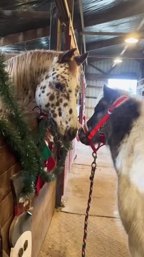 #СДобрымутром31. Всех с Рождеством Христовым Проведите этот день в кругу самых близких