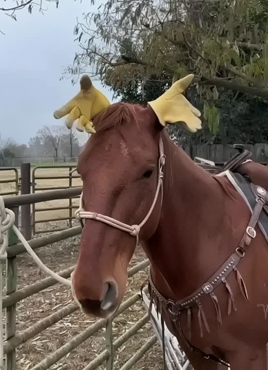 �� �������� ��������� ��������� �������.����� ������� ������������� � �������� ������������ ����!