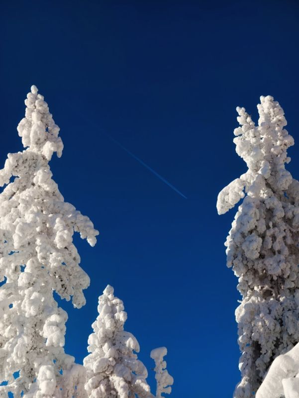 "Настолько глубокого синего цвета я ещё не видел