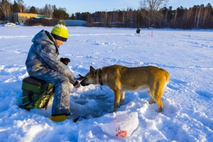 ������ ����, �����������!. ������� �������, 8 ������