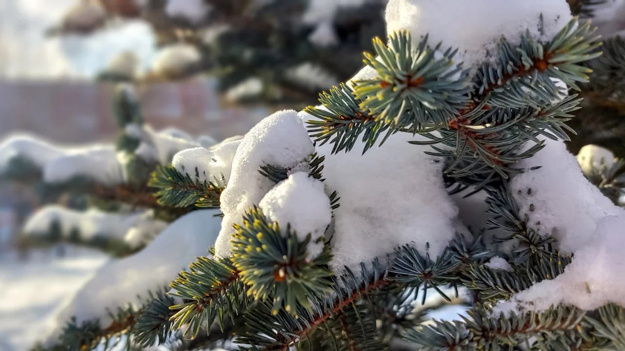 Перепады атмосферного давления прогнозируют в Челябинской области