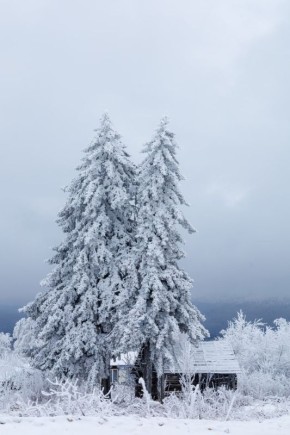 ��������� ���������. �������� �������������� ����� �� ������� ������� �������������� �� ����� ������������� ����������� ������� � MAX