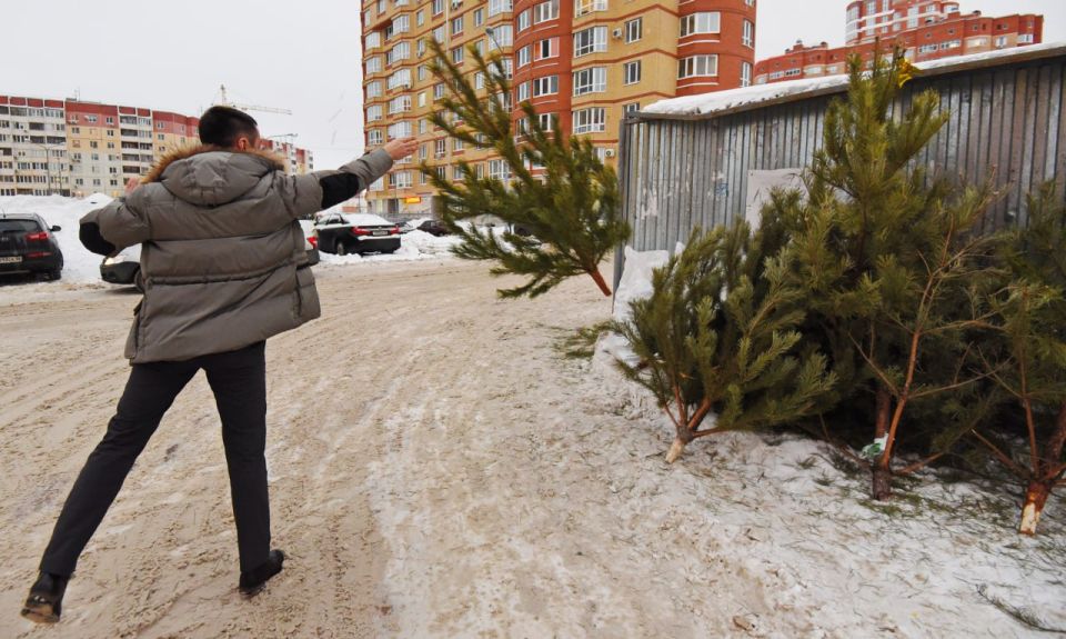 ����� ������� ��������� ��� �������� �����: ��� ��������� ��������� ���� �� �������