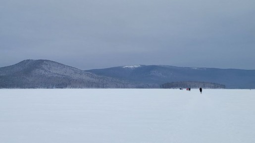 � ����������� ������� ��������� � ��������� ������ �� ���� ��������