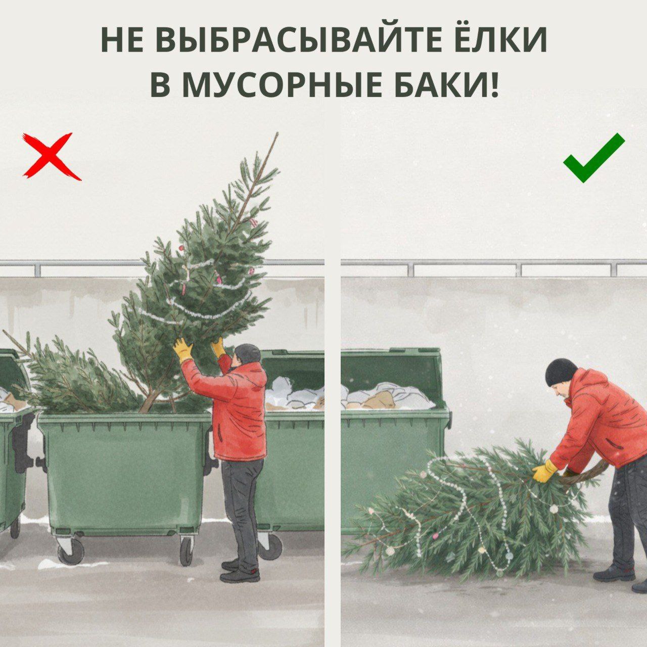 Елочный утиль: как не словить штраф за выброшенное дерево