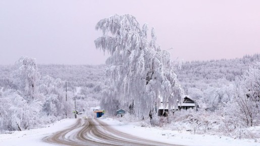 ������ ������� ������� ������ ����� ������������