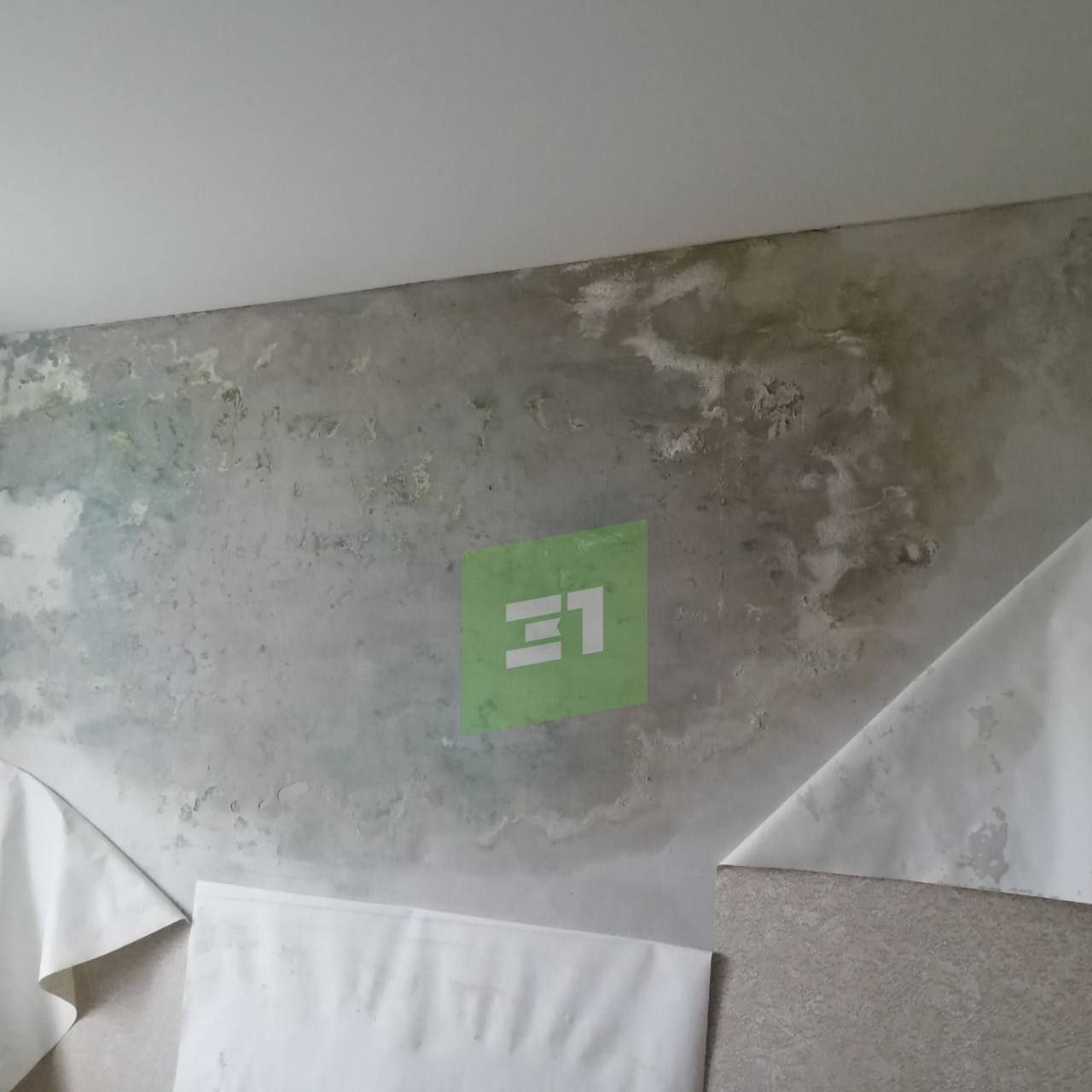 «Дом начинает гнить, мы живем с детьми» «Дом начинает гнить, мы живем с детьми»