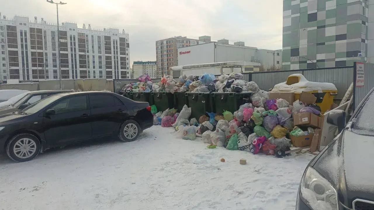 Автохамы 363 раза помешали вывезти мусор в Челябинске