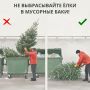 Елочный утиль: как не словить штраф за выброшенное дерево