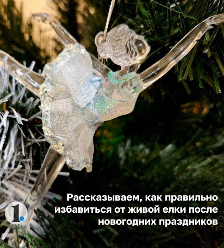 ���� ���� ����� ���� ����� ����������? ���������� ������� ����������!