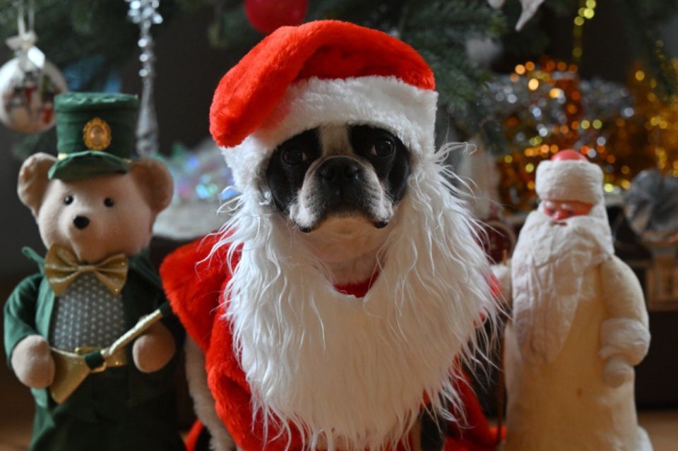 ������� ��������� �� ����������� �������