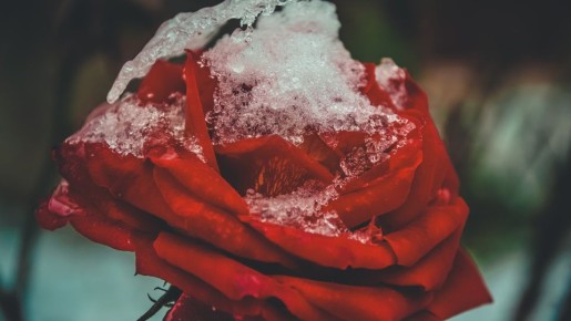 ����� �� ������� �������� ���� ��� �����������: ������� ��� ��������� �����