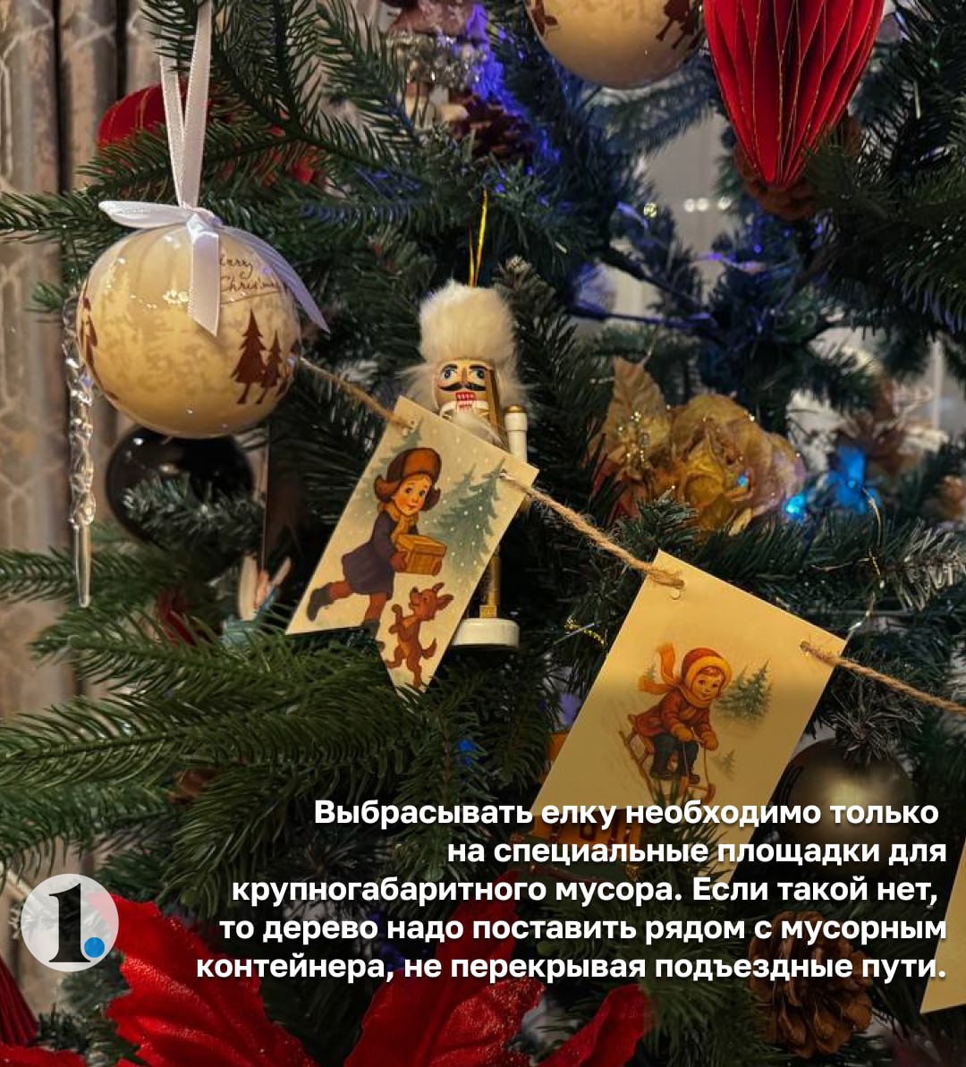 Куда деть живую елку после праздников? Напоминаем правила утилизации! Куда деть живую елку после праздников? Напоминаем правила утилизации!