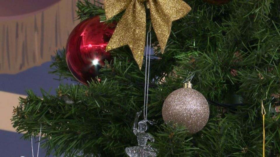 ��� ��������� ������������� ����, ���������� ������� ����������