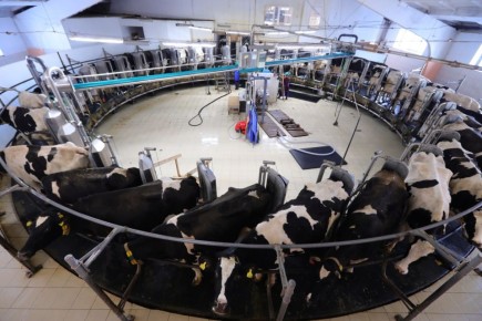 ����� ���� ������ ��������� ����������� � �������� ��������������