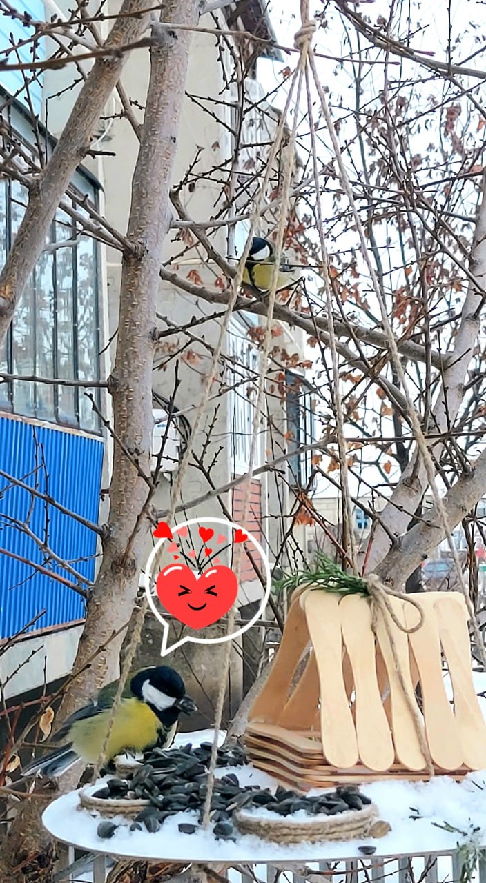 Жителей Челябинской области призывают присоединиться к экологической акции «Синичка-74» Жителей Челябинской области призывают присоединиться к экологической акции «Синичка-74»