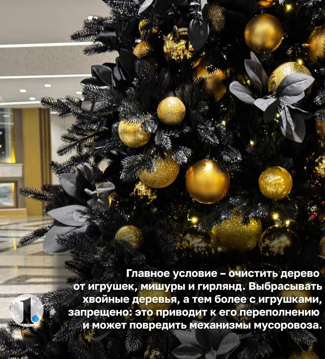 Куда деть живую елку после праздников? Напоминаем правила утилизации! Куда деть живую елку после праздников? Напоминаем правила утилизации!