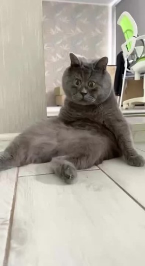 #������������31. ��� � ��� ��������� ���� ��������� ����� ���������� � ������ � ������������� �� ������� ������!