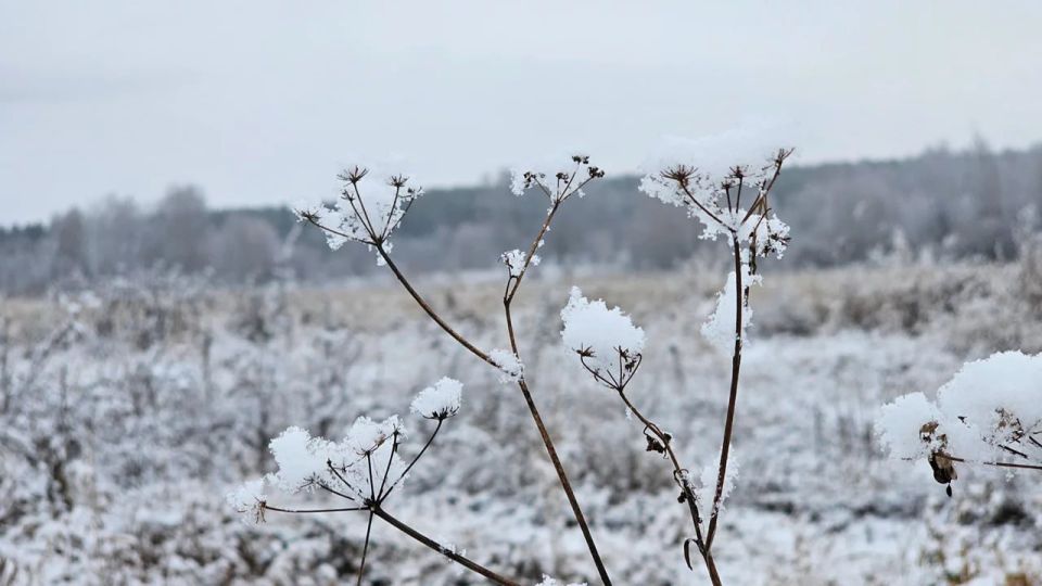 ���������� ���������� ���������� ���������� ��������� � ����������� �������