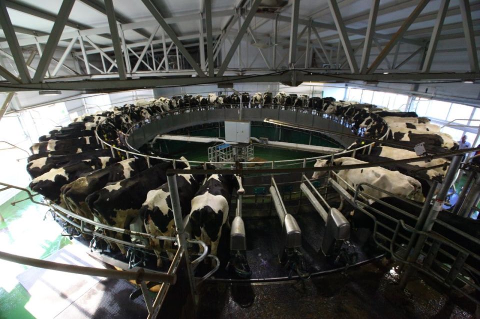 1 �� ����� ����� ��������� ������������ ������ ��������� ������������ ����