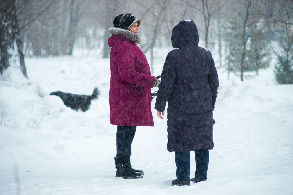 ����������� ���������� �� ������ �������� ������ ������� ����������� �������