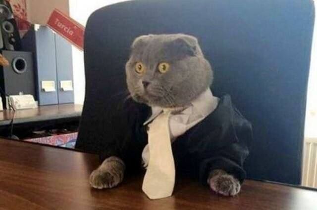 ����� ��������� ����� ������������ � 2026 ����