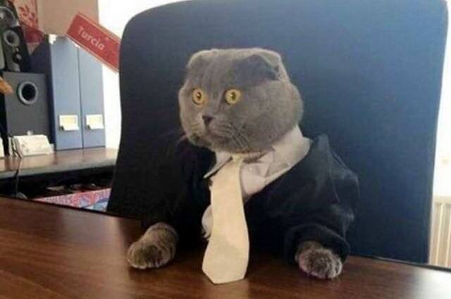 Какие профессии будут востребованы в 2026 году