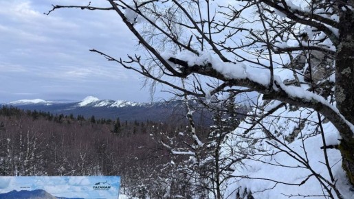 ������ ������������: �� �������� � �������� ����������� ������� �������� 13,5 ���