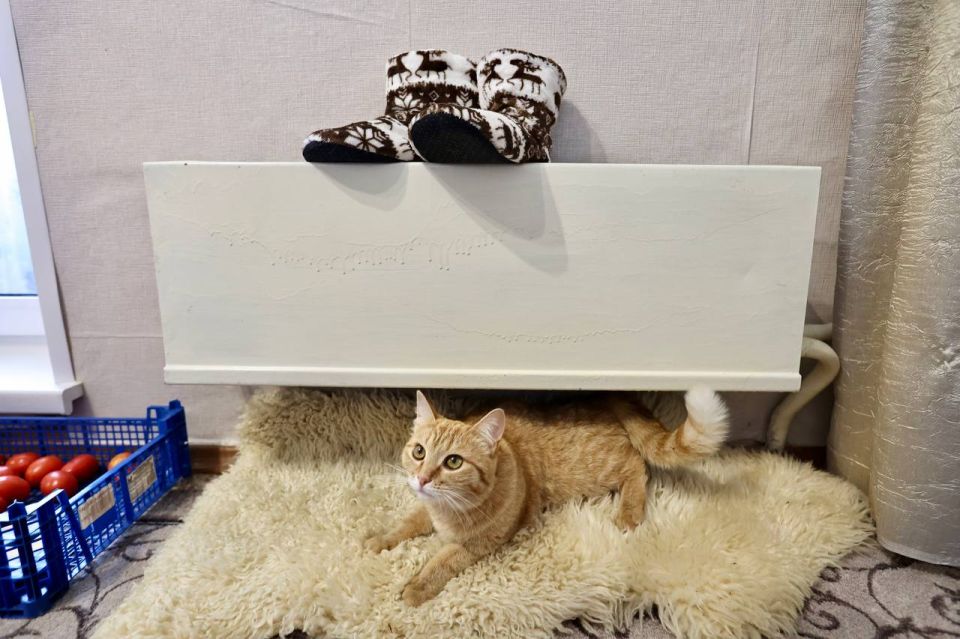 ��������� � ���������� ������ ����� �� �������� ����� ����������