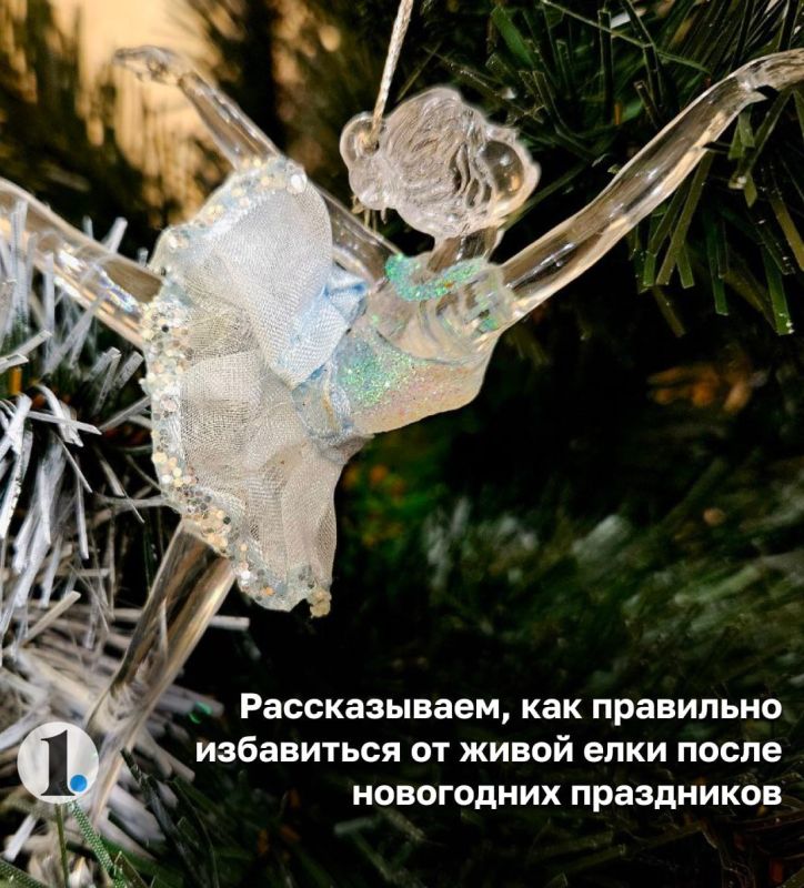 ��� ������������� ����� ��� ����� ���������� ����������