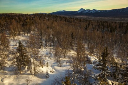 ������� �� ��������� ��-�� ���������� ��������� ������ ���� � ������ ����