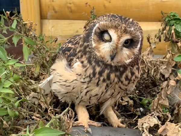 ������� ���������� � ������ ��������� �������� � ����������