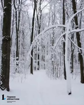 � ���������� ������� ������� 8...10 �������� � �������� ������ � ������������