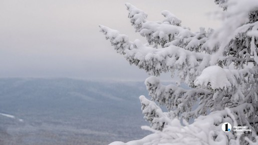 ������ ������� ������?�. ���� ������ ��������� ������ ���� ������ ���� ������ ������ ����������� �������, ��������� �� ������ ��� ��������� � ����� �����