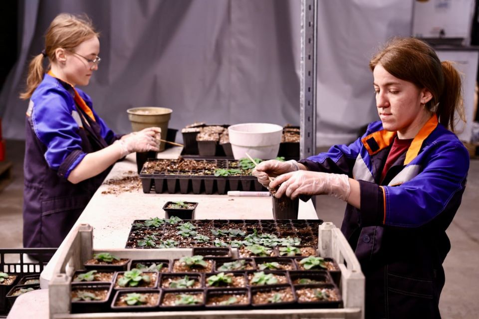 ����������� ��������� ������ � ���������� �������� �������� �� ���������